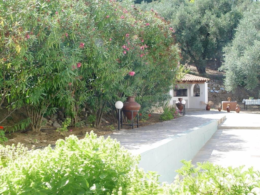 Villa Maro Skopelos Town Exterior foto