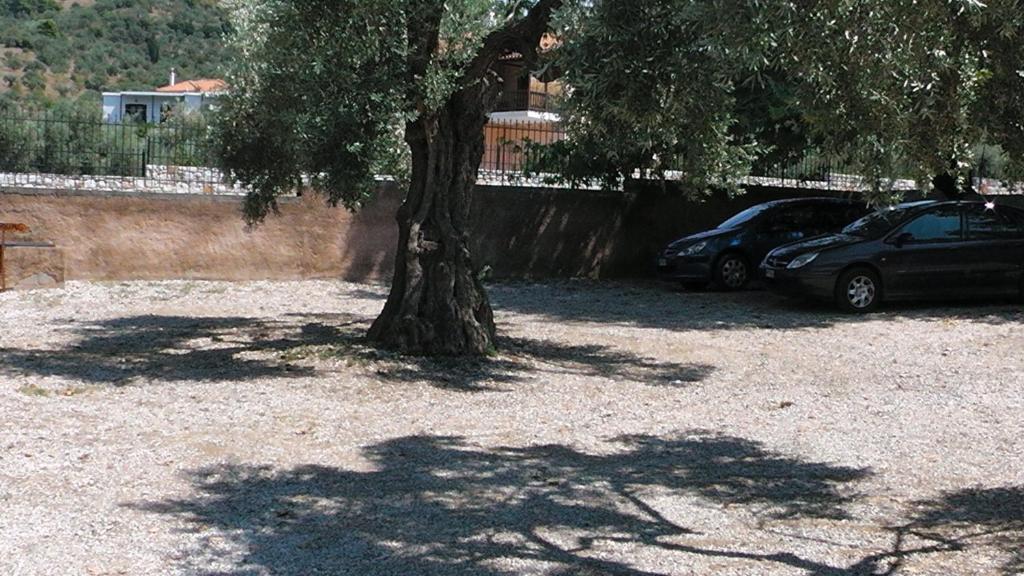 Villa Maro Skopelos Town Exterior foto
